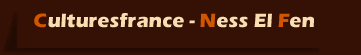 Culturesfrance